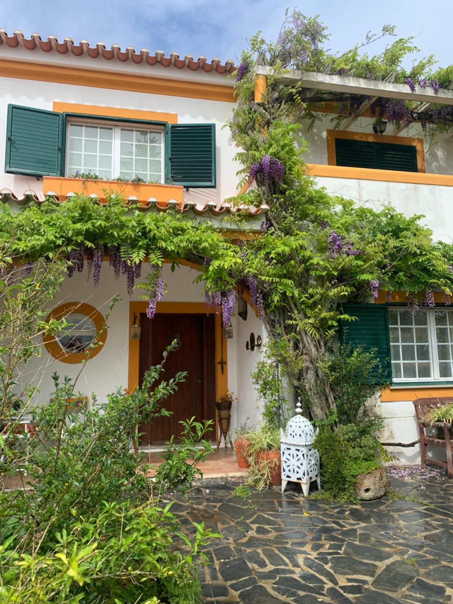 A Casa Do Lagar Apartamento Azeitão Exterior foto